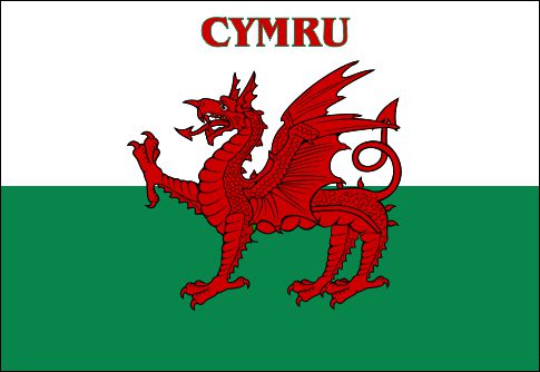 C31 - Welsh Products